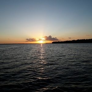 Meet your Posher, Tony